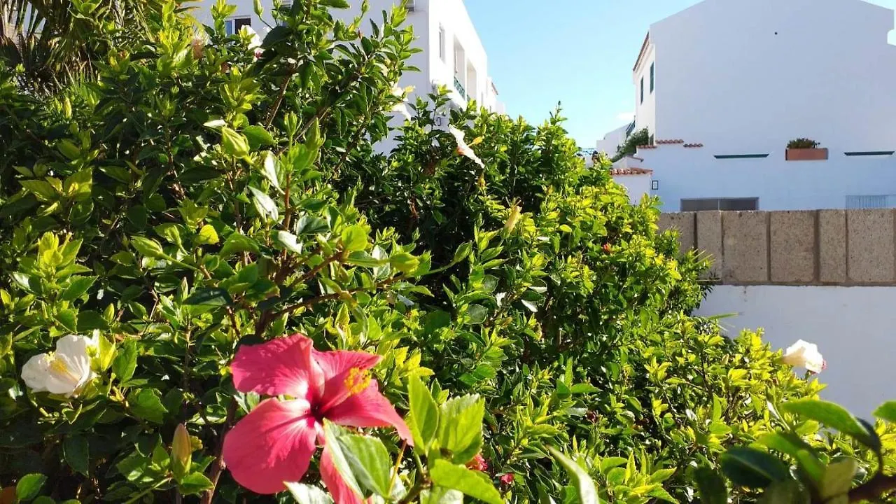Parque Don Jose, Casa Antonella Appartement Costa Del Silencio
