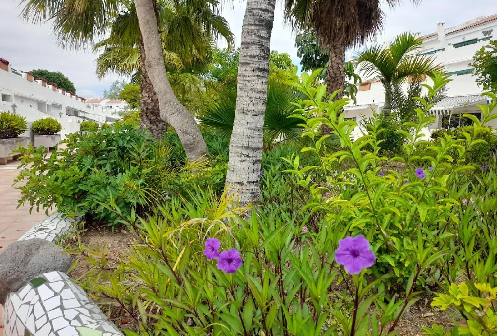 Parque Don Jose, Casa Antonella Apartment Costa Del Silencio